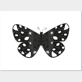 Black butterfly Posters and Art
